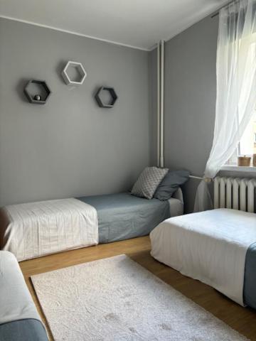 Apartment Torpedownia *